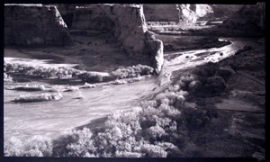 Image description is not available for 1996.013